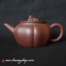 Zi Ni "Shi Niu Shui Ping" 180cc
