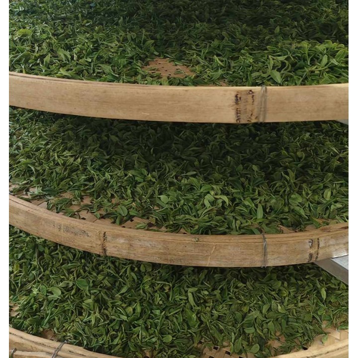 2026 High Mountain Baohong Green Tea 30g