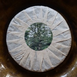 2013 Bulang ManNuo Old Tree Raw Puerh 50g