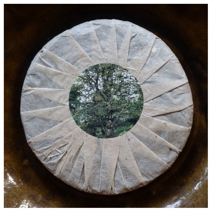 2013 Bulang ManNuo Old Tree Raw Puerh 50g