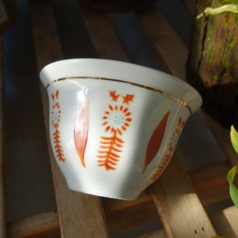 Vintage Tulip Pattern Hand-painted Tea Cup 60cc