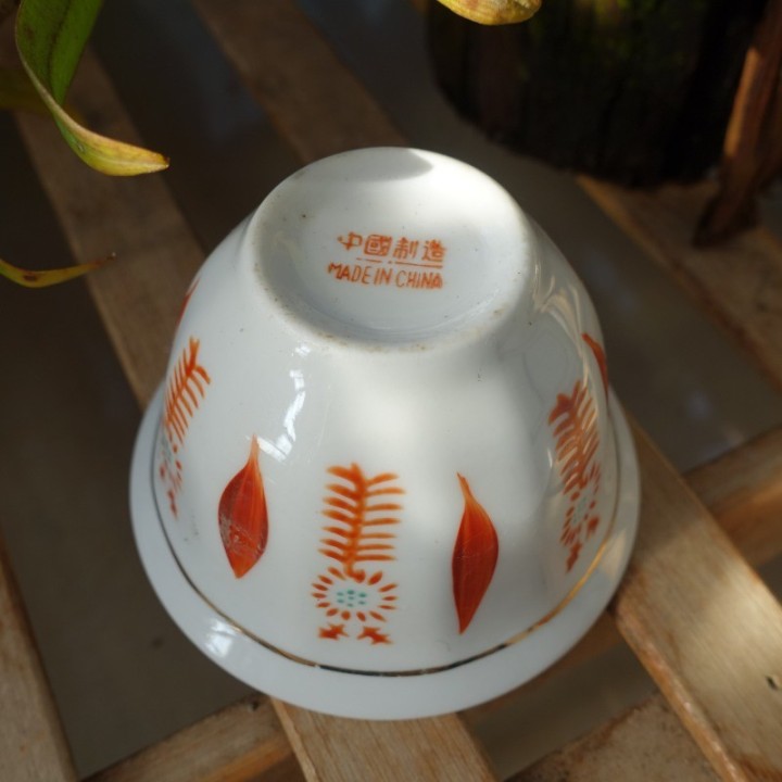 Vintage Tulip Pattern Hand-painted Tea Cup 60cc