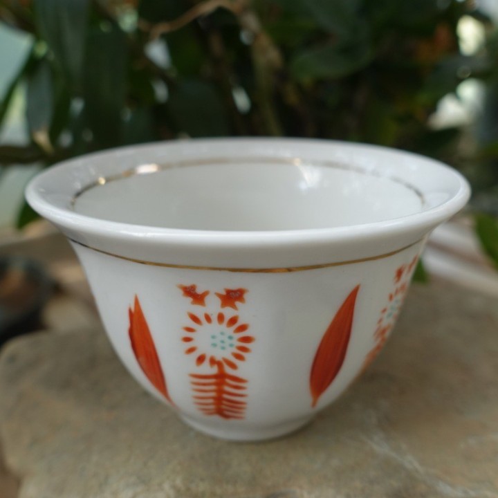 Vintage Tulip Pattern Hand-painted Tea Cup 60cc