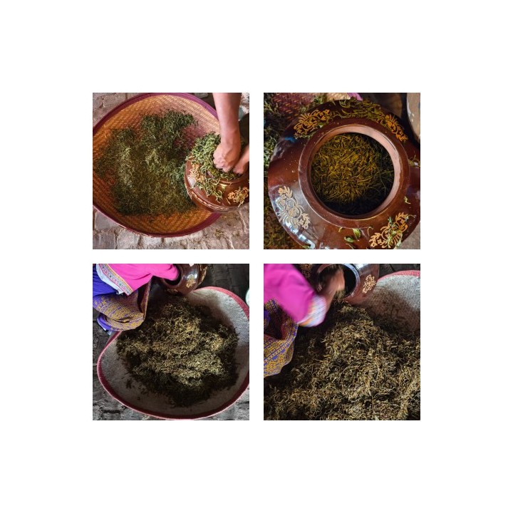2025 Jingmai Sour Tea Organic Sample 30g