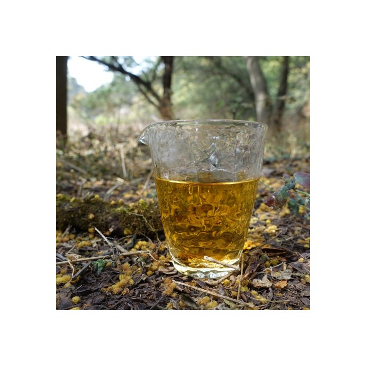 2022 Chawangpu Gushu White Tea Dragon Ball 70g