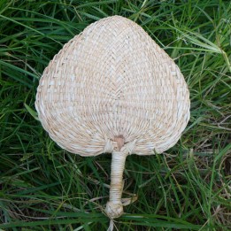 Cattail Leaf Fan