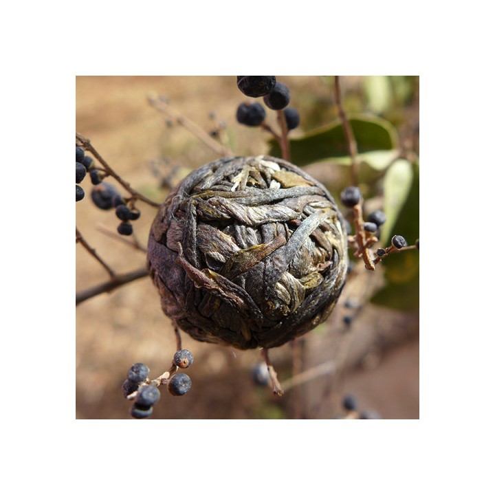 2017 Guangbie Laozhai Long Zhu Raw Puerh Tea 7g