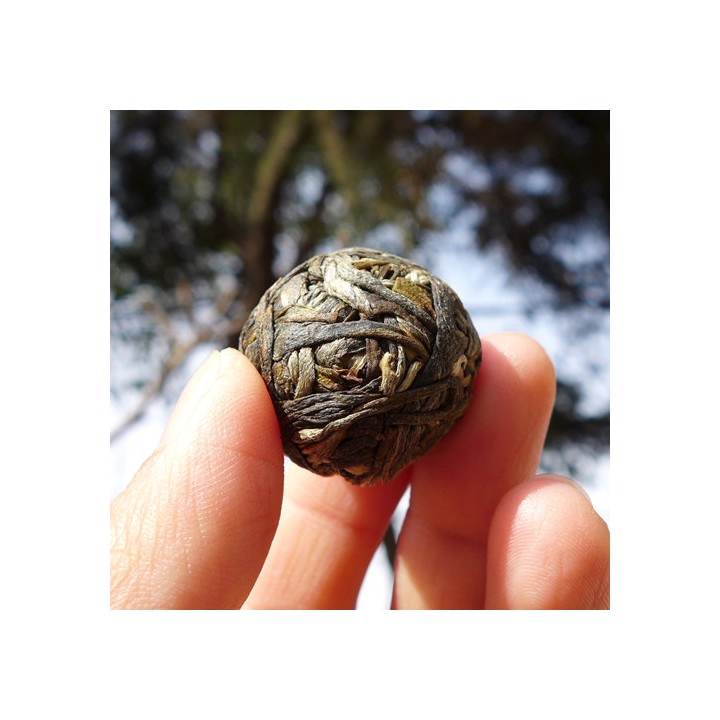 2017 Guangbie Laozhai Long Zhu Raw Puerh Tea 7g