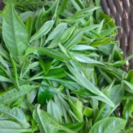 Sold-2026 Lianghe Hui Long Premium Green Tea 50g