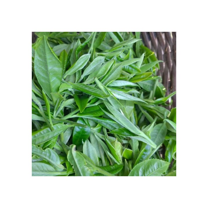 Sold-2026 Lianghe Hui Long Premium Green Tea 50g