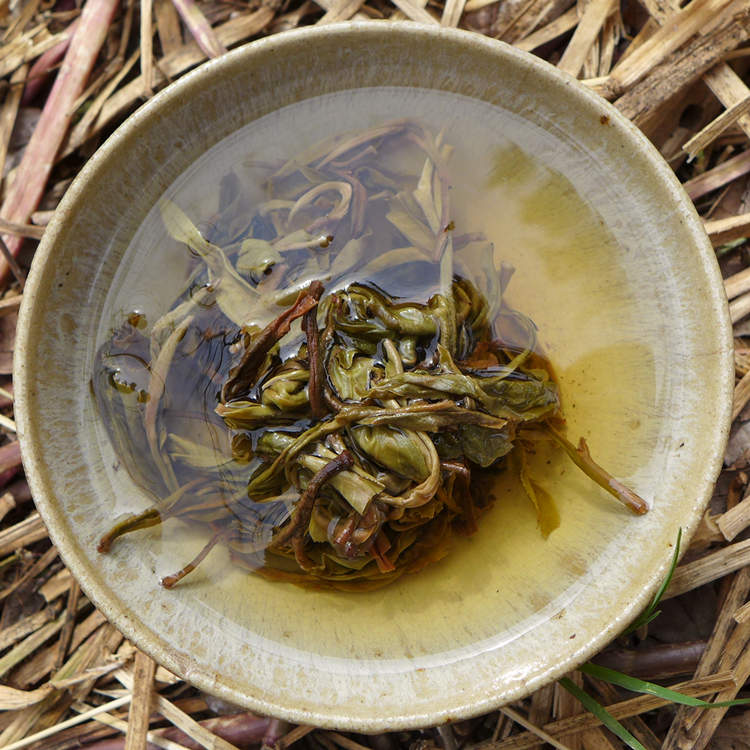 2017 Guangbie Laozhai Long Zhu Raw Puerh Tea 7g 2017 Guangbie Laozhai Long Zhu Raw Puerh Tea 7g