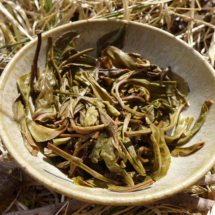 2017 Guangbie Laozhai Long Zhu Raw Puerh Tea 7g 2017 Guangbie Laozhai Long Zhu Raw Puerh Tea 7g