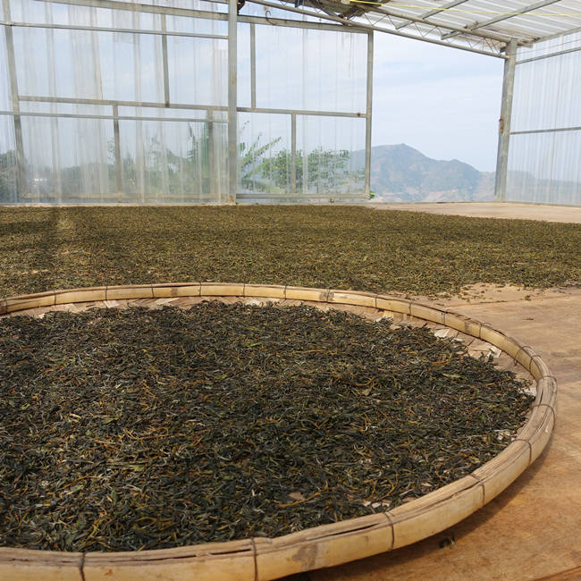 2020 Chawangpu Bada Puerh Tea 200g 2020 Chawangpu Bada Puerh Tea 200g