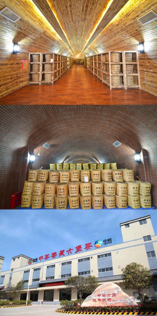 2016 (2019) China Tea Brand “Mu Jiao Chen Yun” Third Grade Liubao Tea 2016 (2019) China Tea Brand “Mu Jiao Chen Yun” Third Grade Liubao Tea