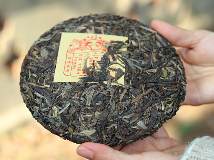 Bulang mountain puerh tea