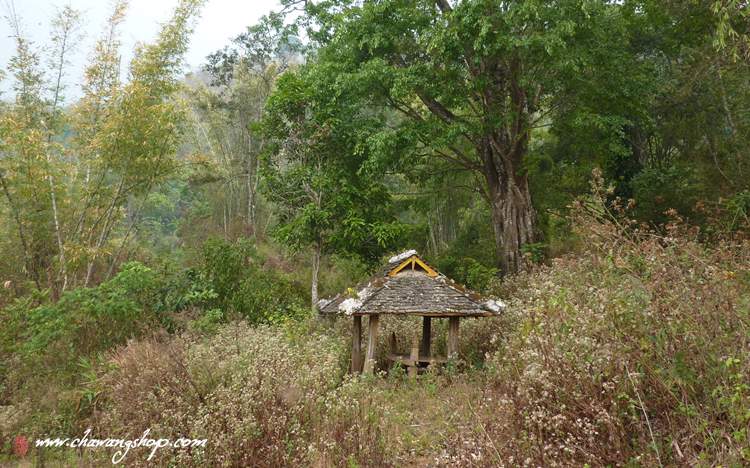 rest pavilion