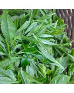 2025 Lianghe Hui Long Premium Green Tea 50g
