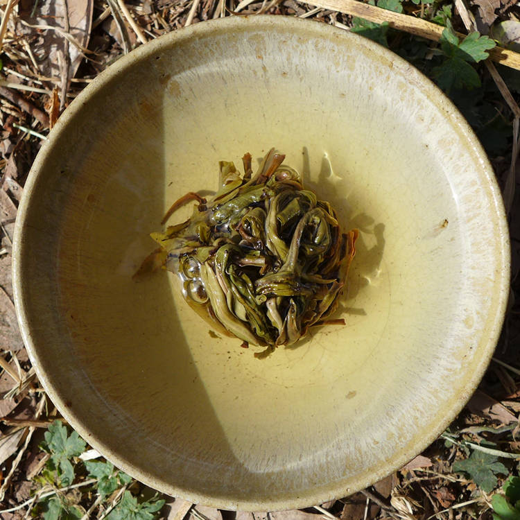 2017 Guangbie Laozhai Long Zhu Raw Puerh Tea 7g