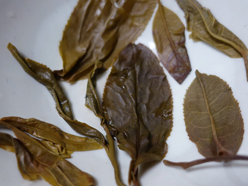 2021 Chawangpu Jinggu Gu Shu Long Zhu 8g 2021 Chawangpu Jinggu Gu Shu Long Zhu 8g